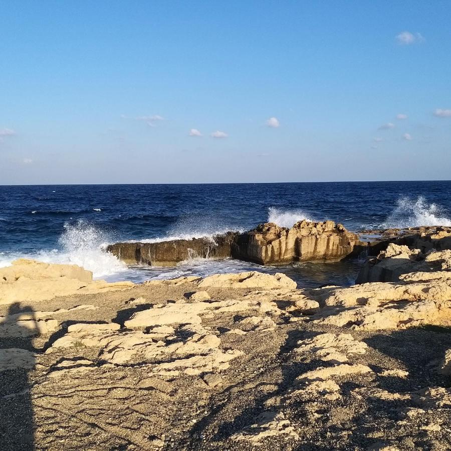 Mosaic By The Sea * פרוטאראס