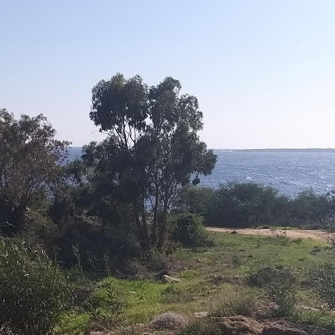 Mosaic By The Sea Проживання в сім'ї